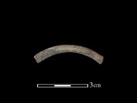 陶環藏品圖，第1張