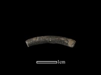 陶環藏品圖，第1張