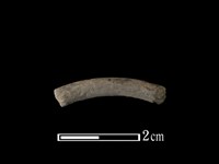 陶環藏品圖，第1張