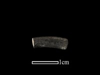 陶環藏品圖，第1張