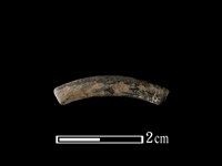 陶環藏品圖，第1張