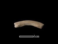 陶環藏品圖，第1張