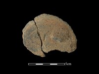 陶片藏品圖，第1張