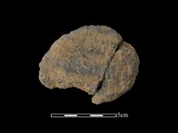 陶片藏品圖，第2張