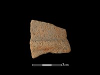 陶片藏品圖，第1張