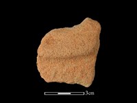 陶片藏品圖，第1張