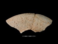 連杯形器藏品圖，第2張