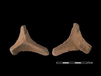 連杯形器藏品圖，第1張