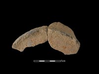 陶片藏品圖，第2張