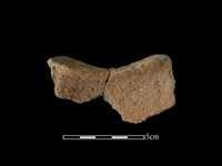 陶片藏品圖，第2張