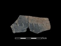 陶片藏品圖，第1張