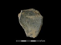 陶片藏品圖，第2張