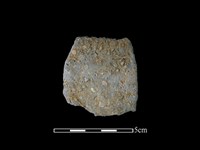 陶片藏品圖，第1張