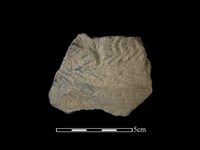 陶片藏品圖，第1張