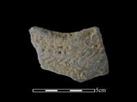 陶片藏品圖，第1張