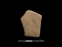 陶片藏品圖，第1張