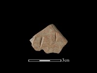 陶片藏品圖，第1張