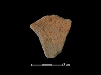 陶片藏品圖，第1張