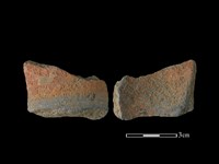 陶片藏品圖，第1張