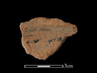 陶片藏品圖，第2張