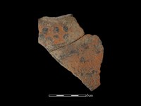 陶片藏品圖，第1張