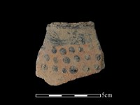 陶片藏品圖，第1張