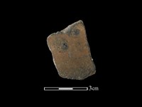 陶片藏品圖，第1張