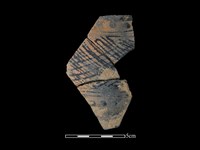 陶片藏品圖，第1張