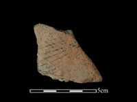 陶片藏品圖，第1張