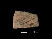 陶片藏品圖，第1張