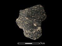 陶片藏品圖，第1張