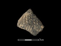 陶片藏品圖，第1張