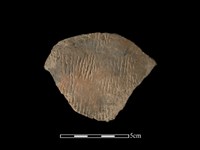 陶片藏品圖，第1張