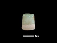 錛鑿形器藏品圖，第2張