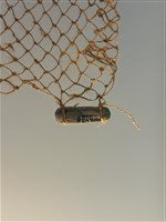 網墜藏品圖，第1張