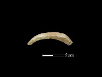 玉環藏品圖，第1張