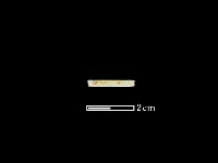 玉針藏品圖，第2張