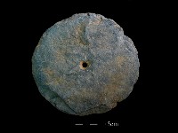 石器藏品圖，第1張