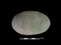 砥石藏品圖，第2張