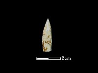 鑽頭藏品圖，第1張