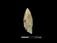 鑽頭藏品圖，第3張