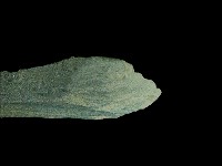 石鋸藏品圖，第3張