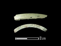 玉環藏品圖，第1張