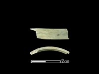 玉環藏品圖，第1張