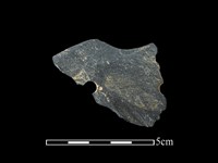 石鏟藏品圖，第2張