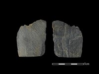 矛鏃形器藏品圖，第1張