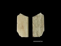 帶加工痕石材藏品圖，第1張