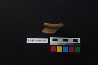 陶片藏品圖，第2張