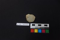 陶片藏品圖，第1張