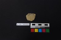 陶片藏品圖，第2張